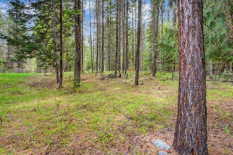 Tiny photo for 30612 Three Turtle Crossing XING, Bigfork, MT 59911 (MLS # 30071059)