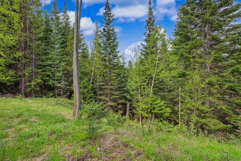 Tiny photo for 30612 Three Turtle Crossing XING, Bigfork, MT 59911 (MLS # 30071059)