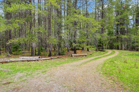 Tiny photo for 30612 Three Turtle Crossing XING, Bigfork, MT 59911 (MLS # 30071059)