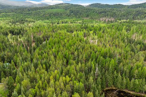 Tiny photo for 30612 Three Turtle Crossing XING, Bigfork, MT 59911 (MLS # 30071059)