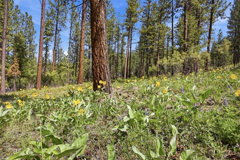 Tiny photo for 1555 Camas Road, Potomac, MT 59823 (MLS # 30070752)