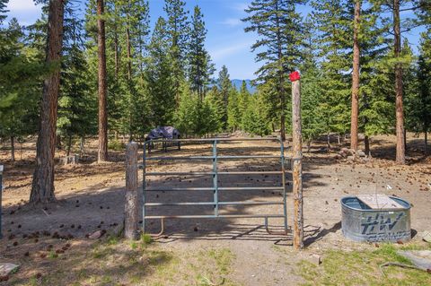 Tiny photo for 1555 Camas Road, Potomac, MT 59823 (MLS # 30070752)