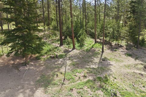 Tiny photo for 1555 Camas Road, Potomac, MT 59823 (MLS # 30070752)