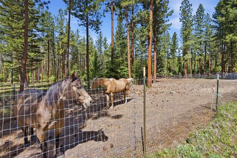 Tiny photo for 1555 Camas Road, Potomac, MT 59823 (MLS # 30070752)