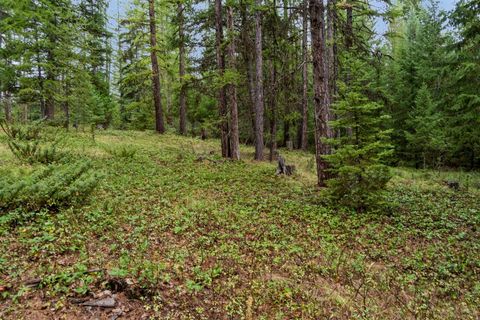 NHN Bear Trap Road Rexford MT 59930