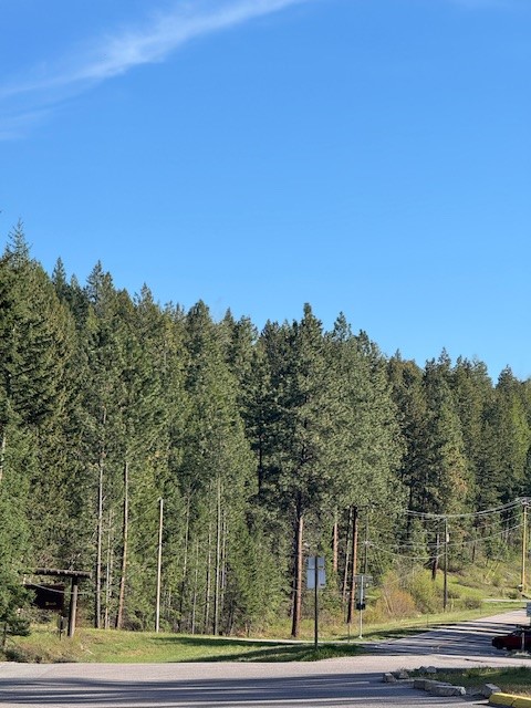 8575 MT Hwy 35 16