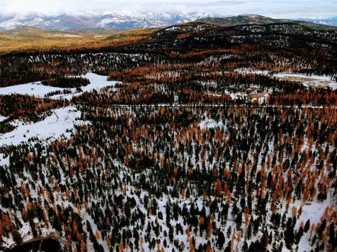 Tiny photo for Nhn Us Highway 93 W, Whitefish, MT 59937 (MLS # 30010602)