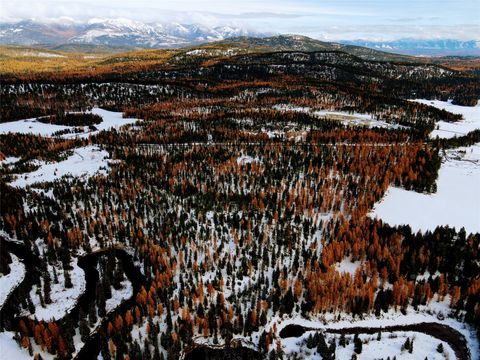 Tiny photo for Nhn Us Highway 93 W, Whitefish, MT 59937 (MLS # 30010602)