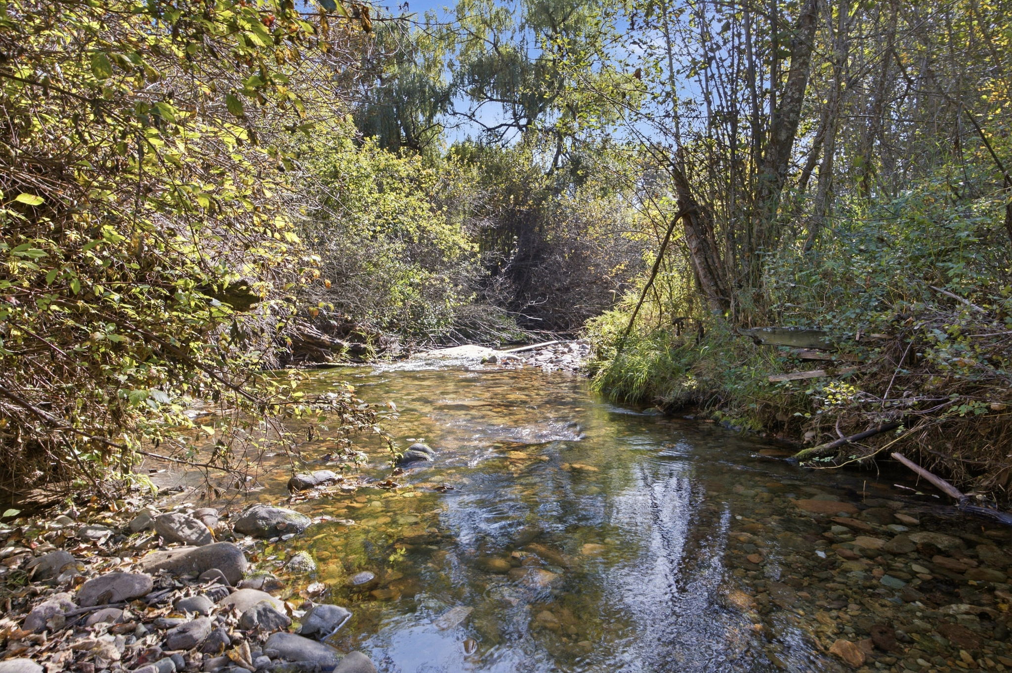 7755 Grant Creek Road
