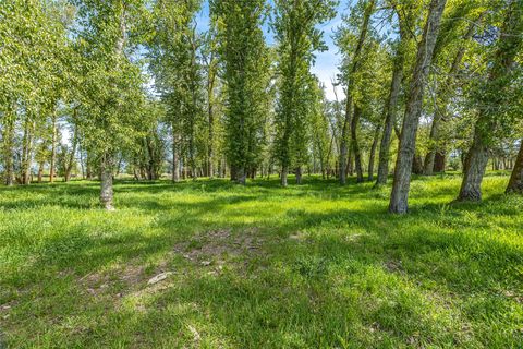 Tiny photo for 4700 Us Highway 93 S, Missoula, MT 59804 (MLS # 30070923)