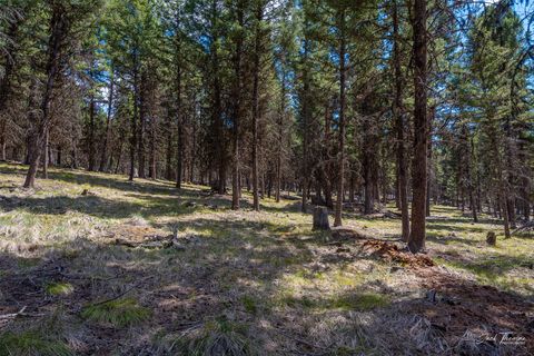 Tiny photo for 1050 Grandview Drive, Seeley Lake, MT 59868 (MLS # 30068603)