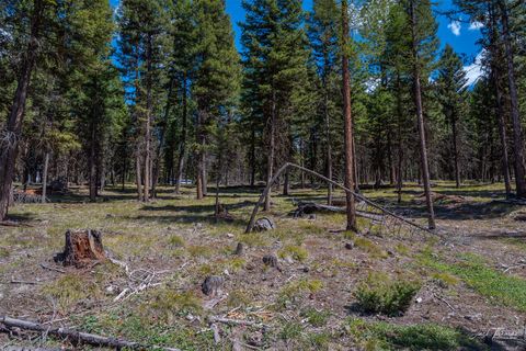 Tiny photo for 1050 Grandview Drive, Seeley Lake, MT 59868 (MLS # 30068603)