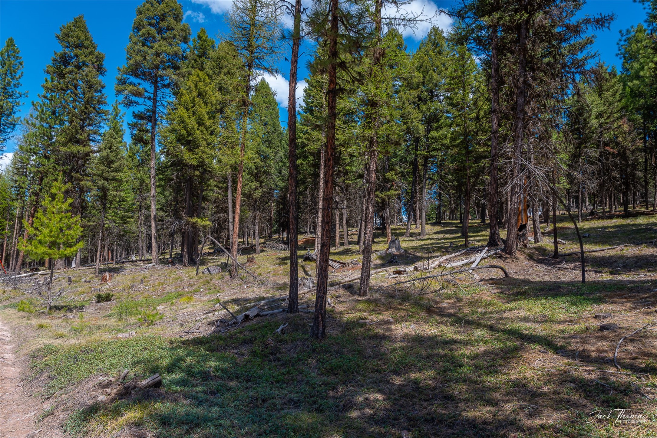 1050 Grandview Drive