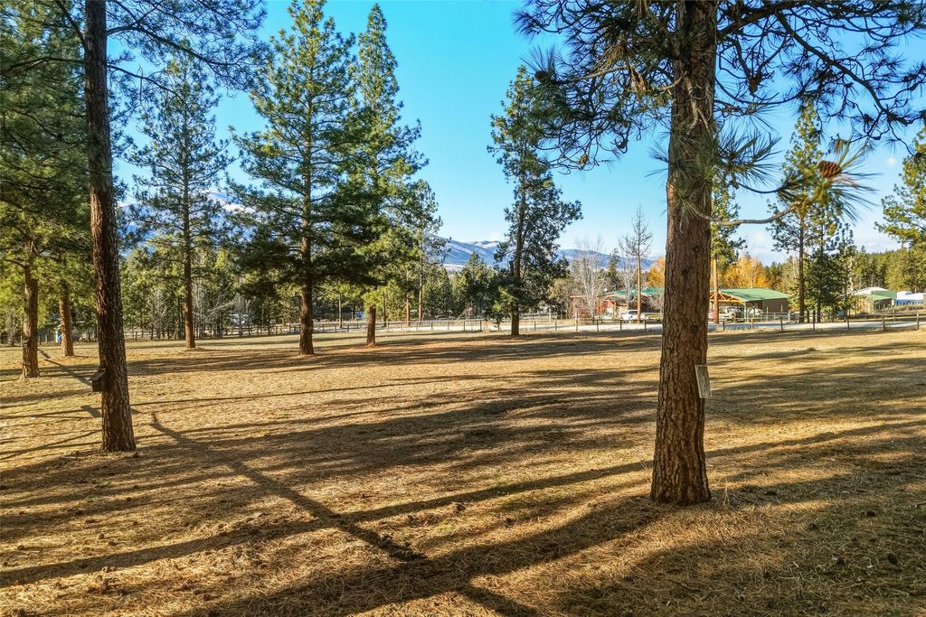 Photo of NHN El Capitan Loop, Stevensville, MT 59870 (MLS # 30064449)