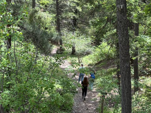 Tiny photo for 67 Overlook Ridge, Kalispell, MT 59901 (MLS # 30072816)
