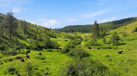 Tiny photo for 54 W Magpie Creek Road, Dixon, MT 59831 (MLS # 30071592)