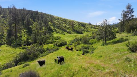 Tiny photo for 54 W Magpie Creek Road, Dixon, MT 59831 (MLS # 30071592)