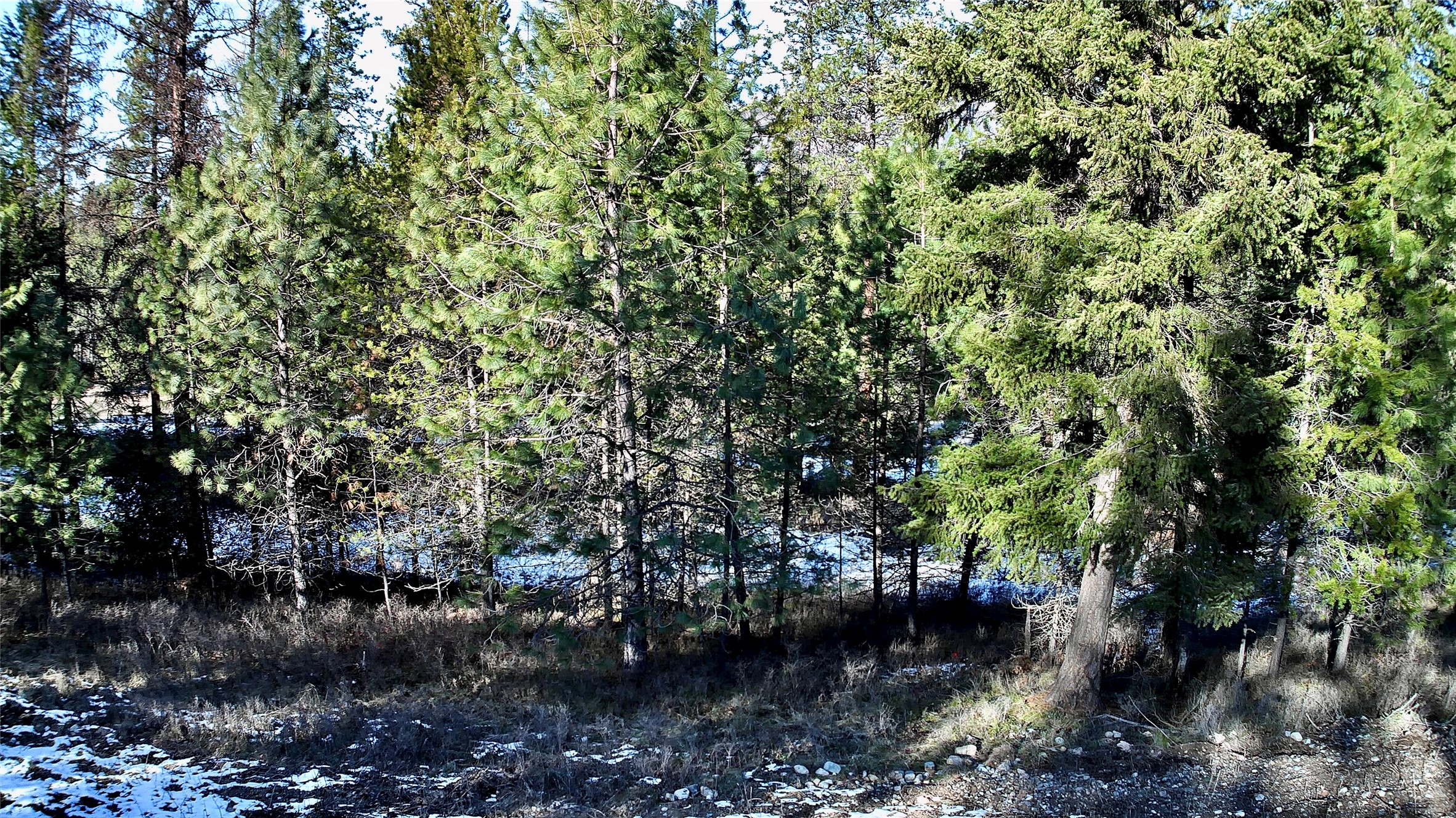 2517 Mossy Rock Court