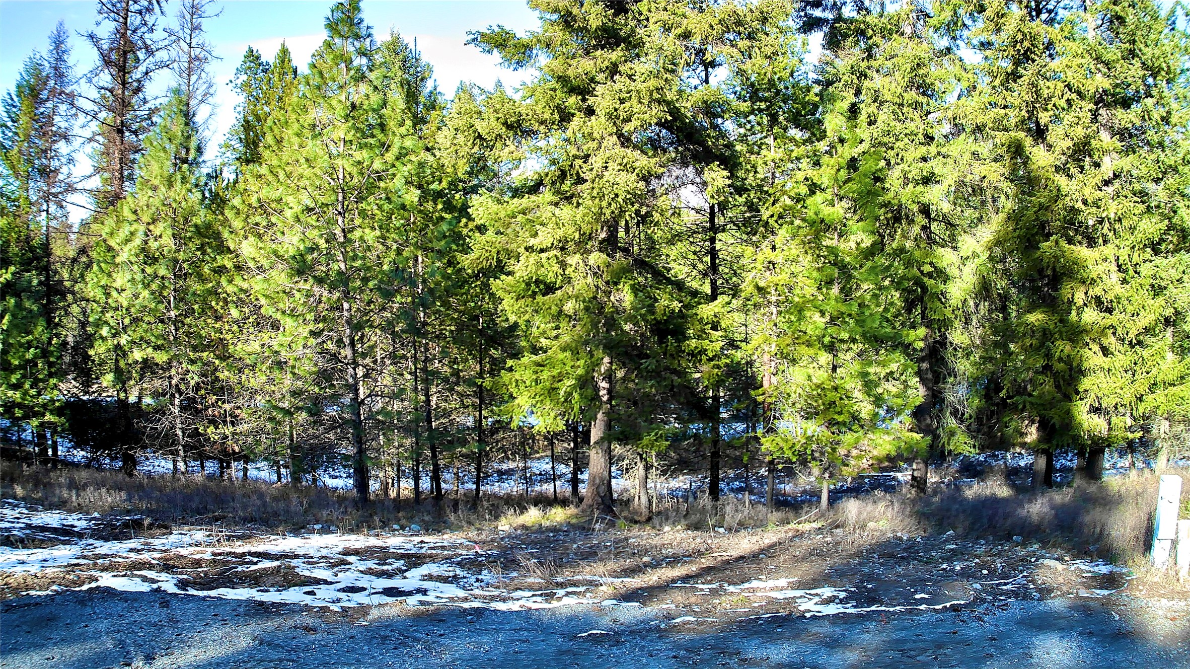 2517 Mossy Rock Court