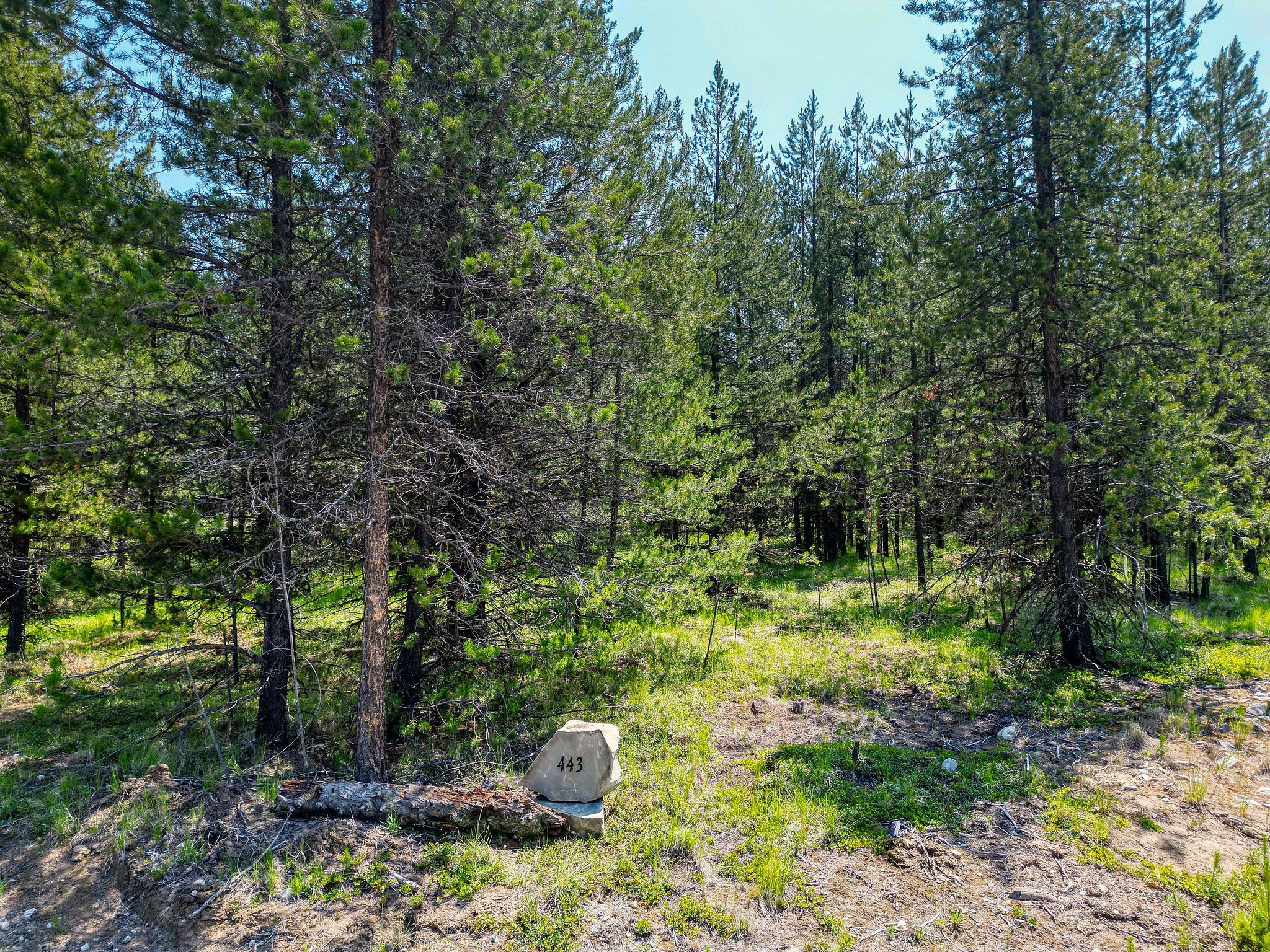 443 McGregor Meadows Road W