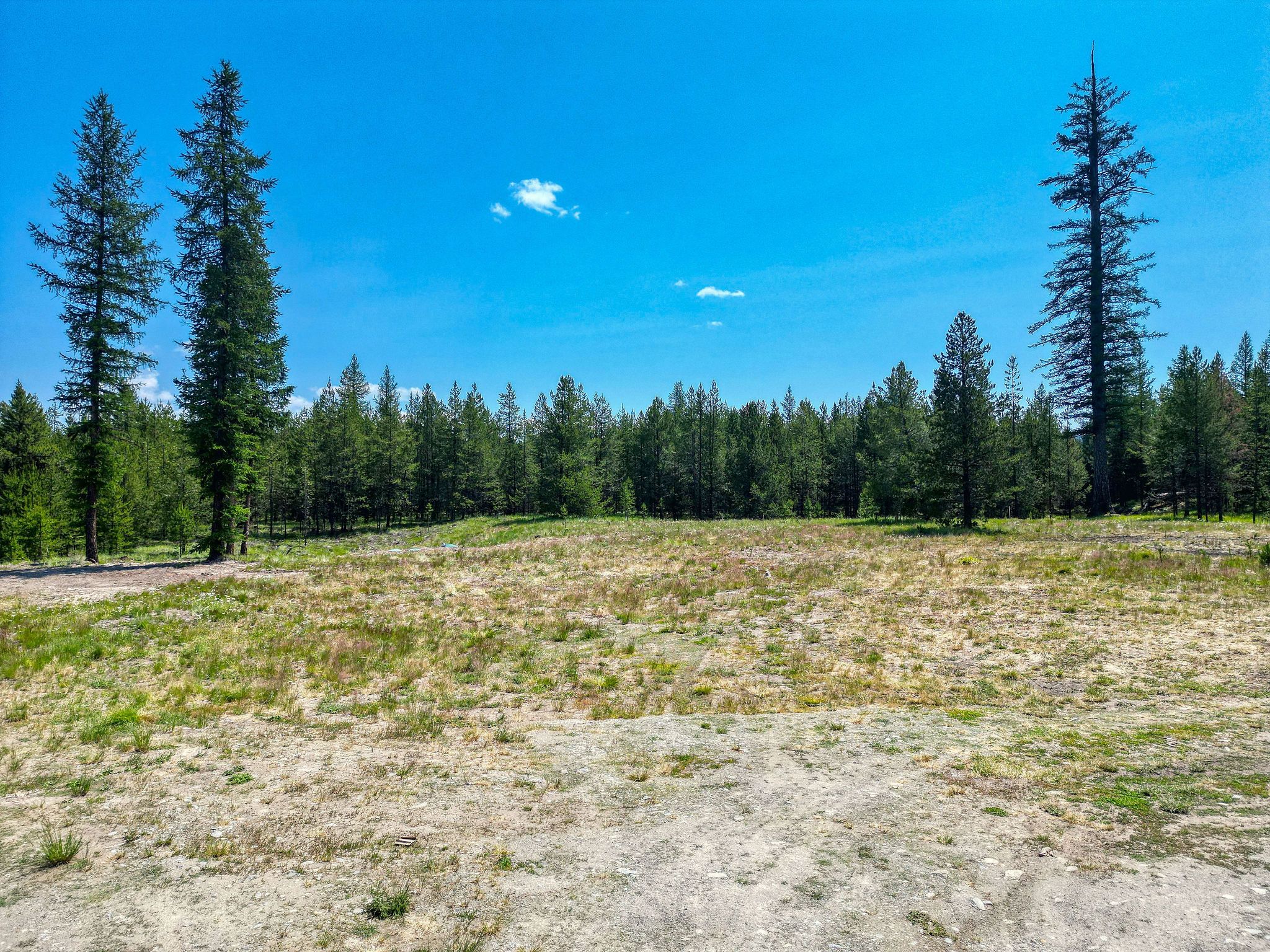 443 McGregor Meadows Road W