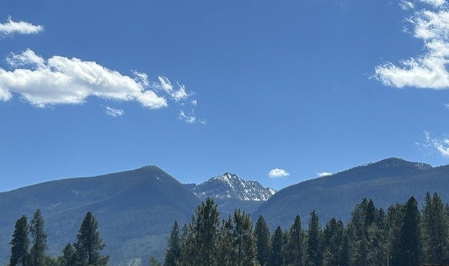 211 Logger Lane