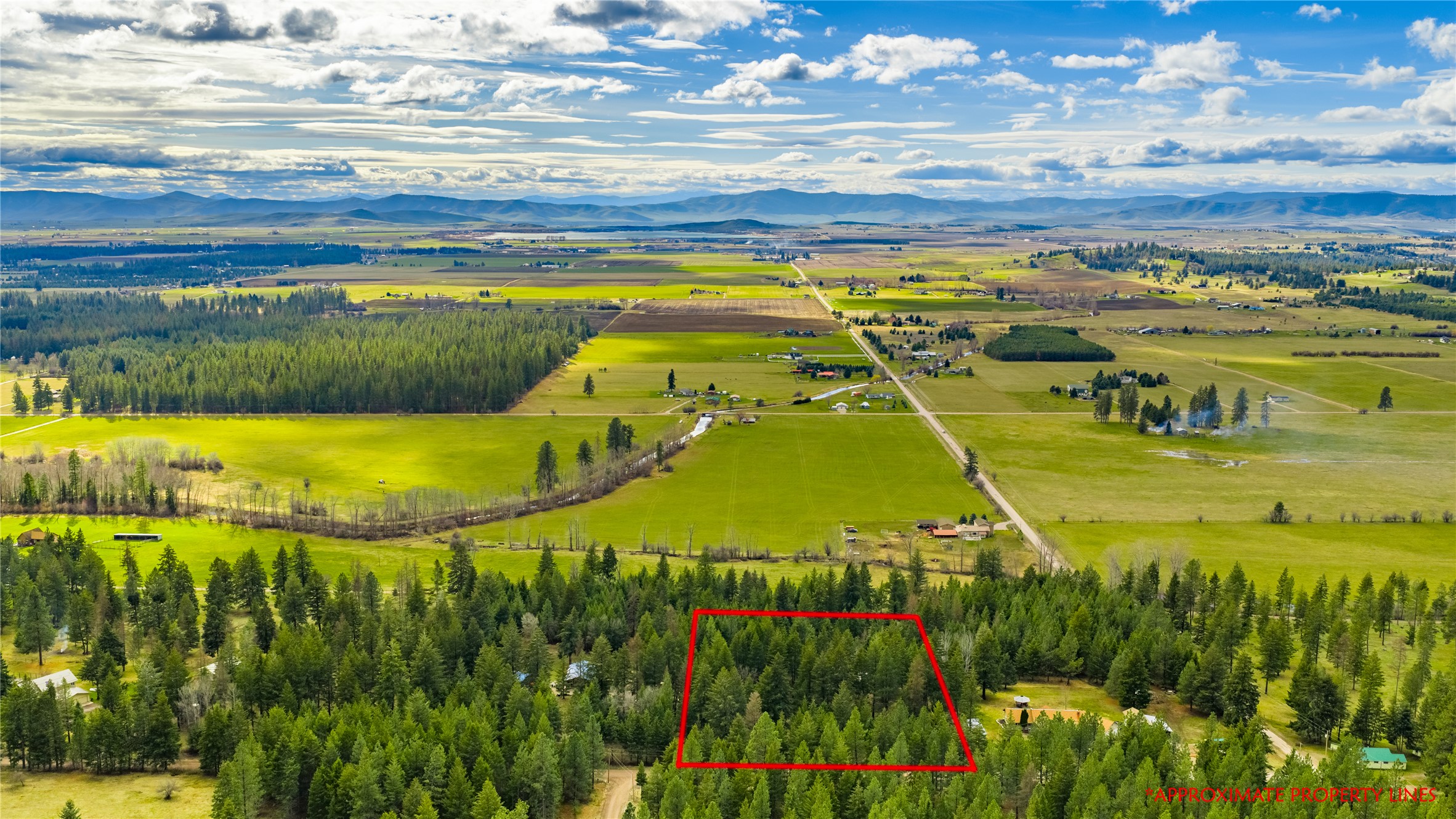 39097 Minesinger Lane