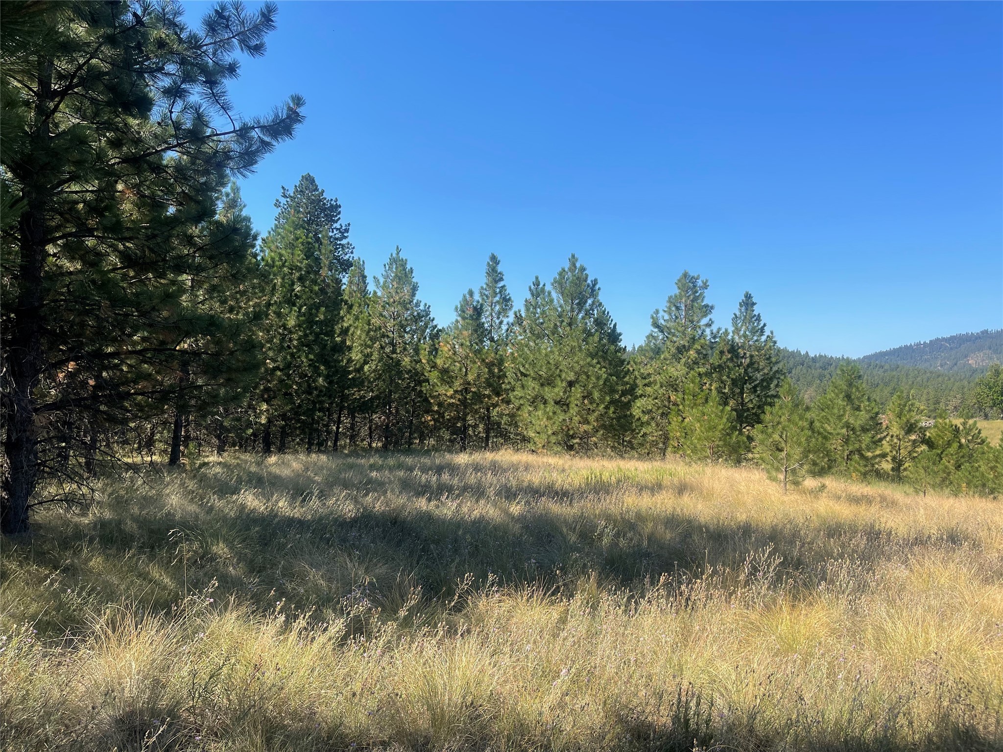 Lot 55 Jette Meadow Road