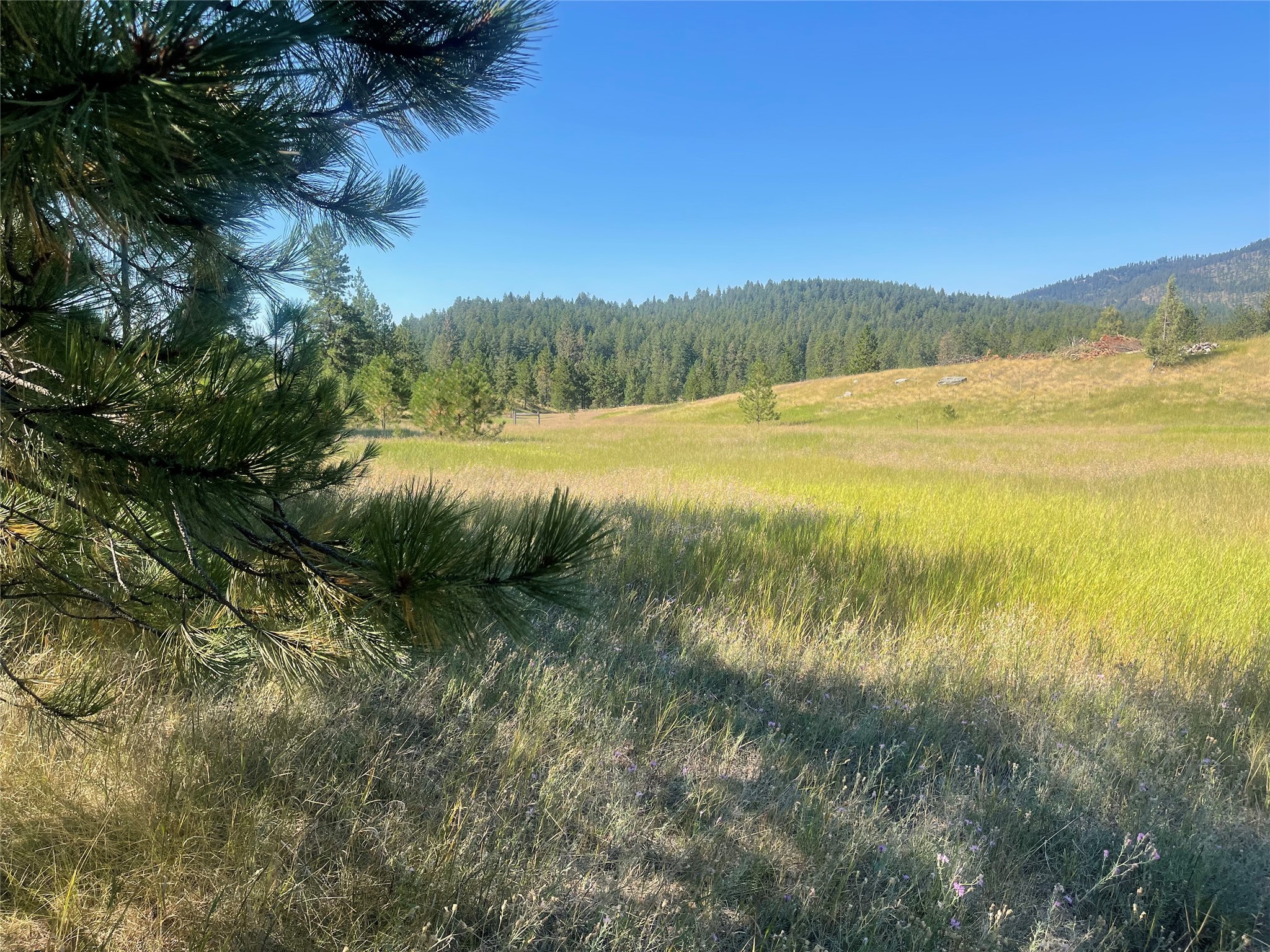 Lot 55 Jette Meadow Road