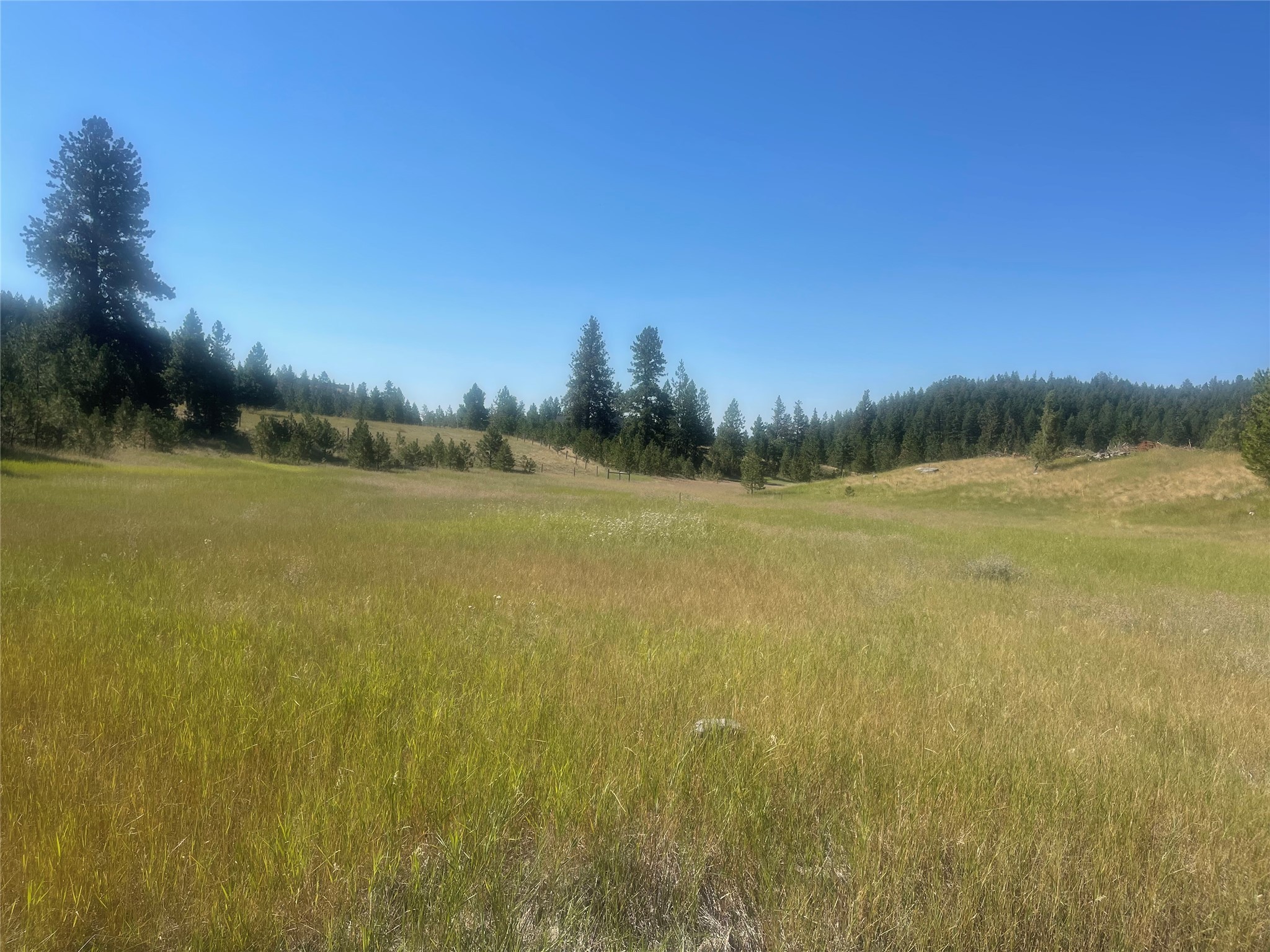 Lot 55 Jette Meadow Road