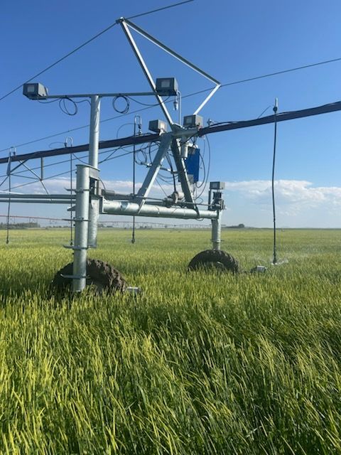 NHN 1st Road S Fort Shaw MT 59443