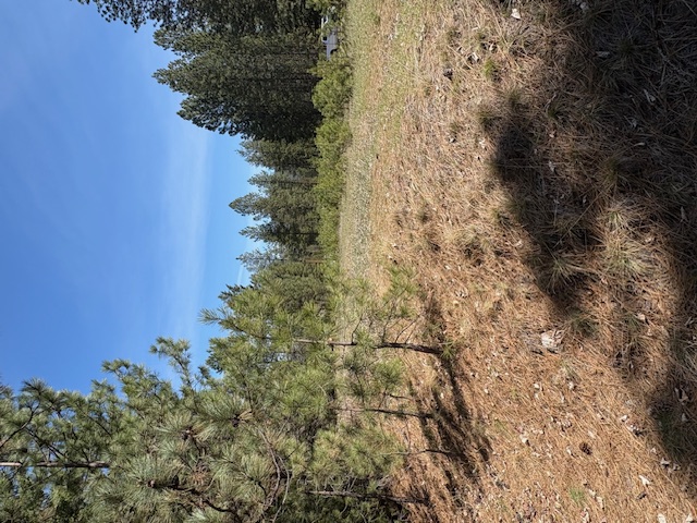 Lot 4 River Run Loop