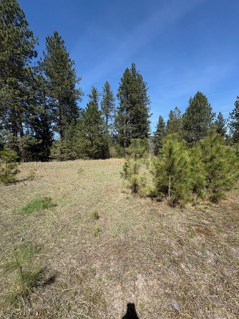 Lot 4 River Run Loop Saint Regis MT 59866