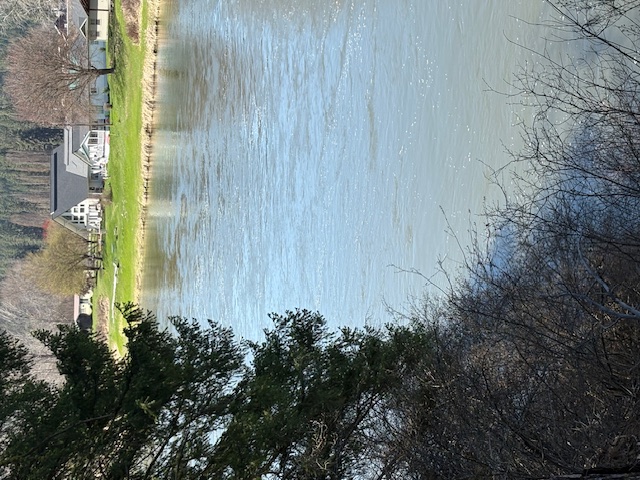 Lot 4 River Run Loop