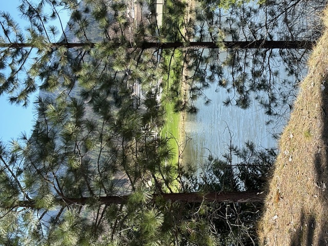 Lot 4 River Run Loop