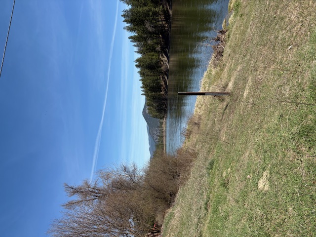 Lot 4 River Run Loop