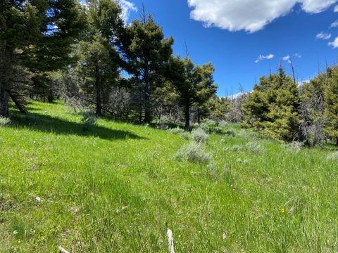 Tiny photo for TBD Camp Creek Road, Melrose, MT 59743 (MLS # 30069343)