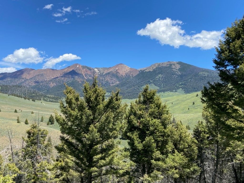 Photo of TBD Camp Creek Road, Melrose, MT 59743 (MLS # 30069343)
