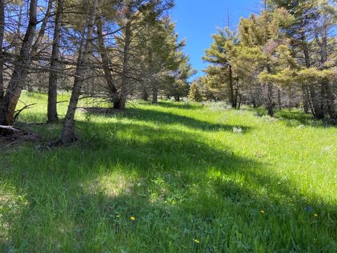 Tiny photo for TBD Camp Creek Road, Melrose, MT 59743 (MLS # 30069343)