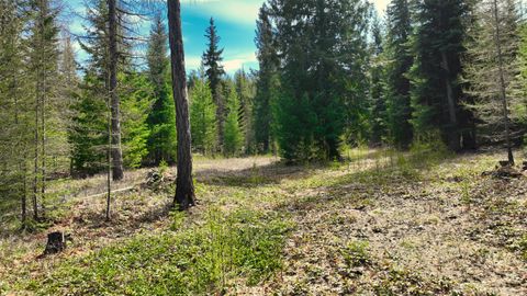 Tiny photo for 1350 Quaking Aspen Court, Rexford, MT 59930 (MLS # 30069367)