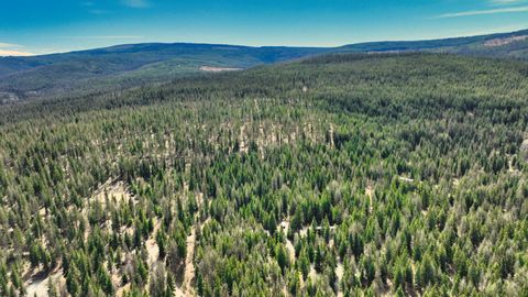 Tiny photo for 1350 Quaking Aspen Court, Rexford, MT 59930 (MLS # 30069367)