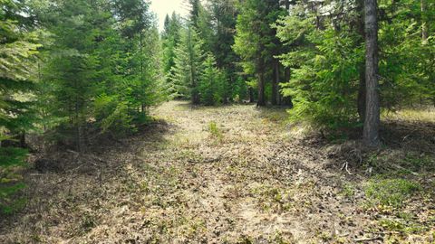 Tiny photo for 1350 Quaking Aspen Court, Rexford, MT 59930 (MLS # 30069367)