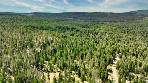 Tiny photo for 1350 Quaking Aspen Court, Rexford, MT 59930 (MLS # 30069367)