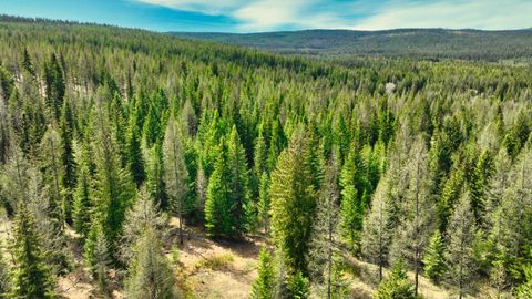 Tiny photo for 1350 Quaking Aspen Court, Rexford, MT 59930 (MLS # 30069367)