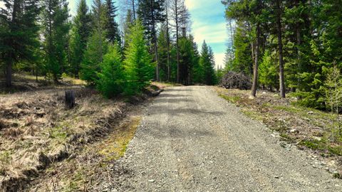 Tiny photo for 1350 Quaking Aspen Court, Rexford, MT 59930 (MLS # 30069367)