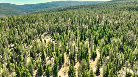 Tiny photo for 1350 Quaking Aspen Court, Rexford, MT 59930 (MLS # 30069367)