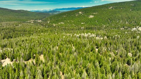 Tiny photo for 1350 Quaking Aspen Court, Rexford, MT 59930 (MLS # 30069367)