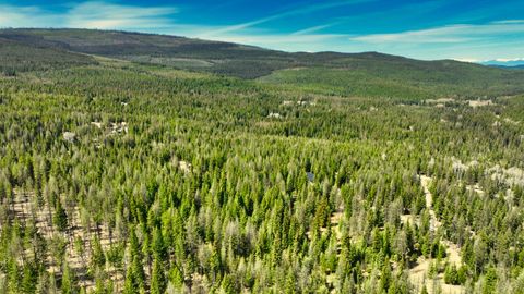 Tiny photo for 1350 Quaking Aspen Court, Rexford, MT 59930 (MLS # 30069367)