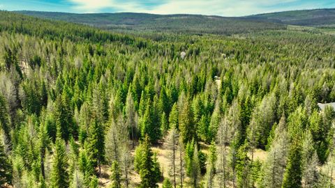 Tiny photo for 1350 Quaking Aspen Court, Rexford, MT 59930 (MLS # 30069367)