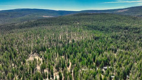 Tiny photo for 1350 Quaking Aspen Court, Rexford, MT 59930 (MLS # 30069367)
